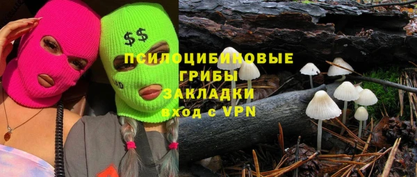 хмурый Балабаново