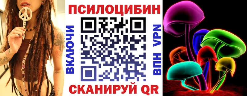 Купить закладки Куса Галлюциногенные грибы Psilocybine cubensis